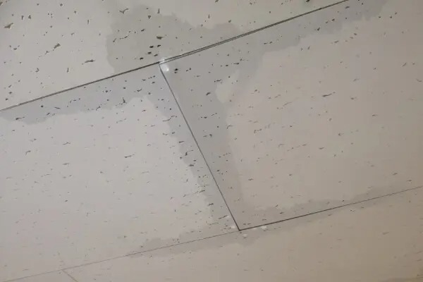 雨漏りしている天井